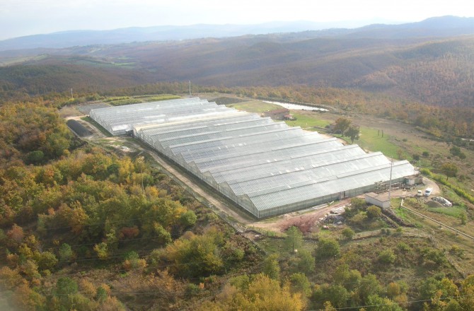 Regione Toscana