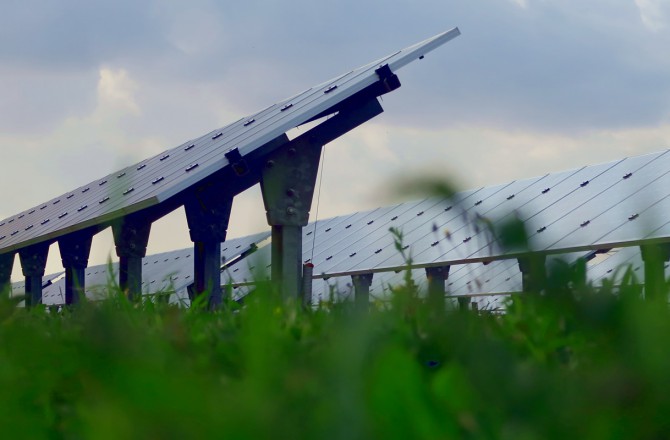 WeForGreen