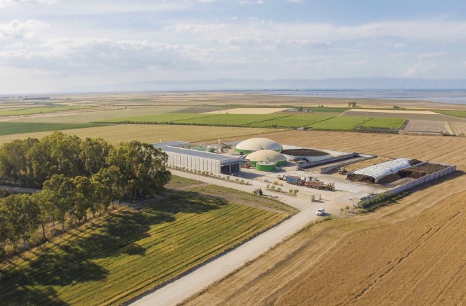 Azienda Agricola Arte