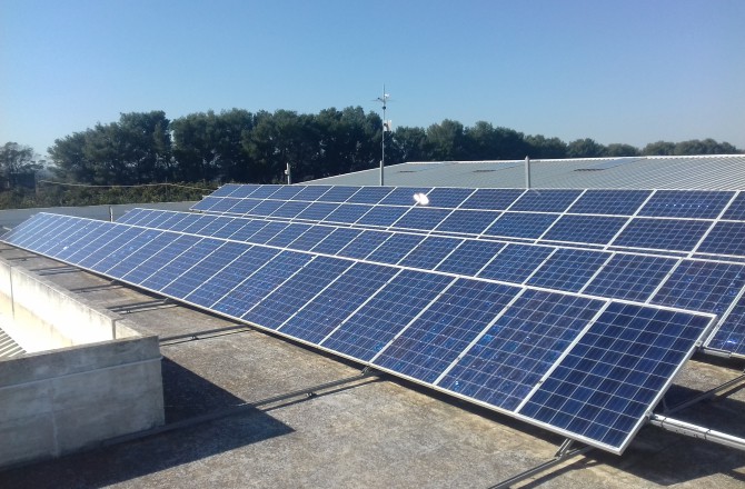 Fotovoltaico nell’agrumeto