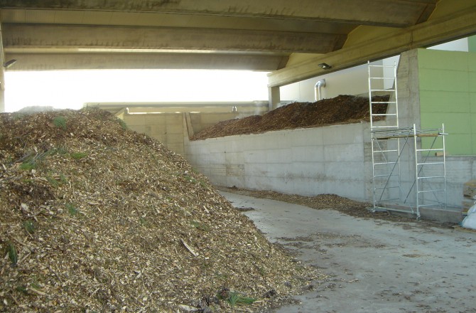 Biomasse da alvei fluviali