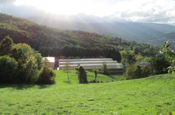 Consorzio delle Comunalie Parmensi