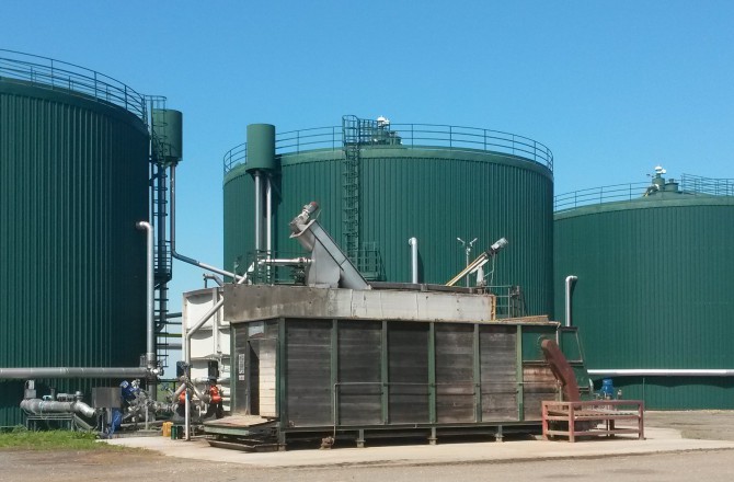Alfalfa Energia