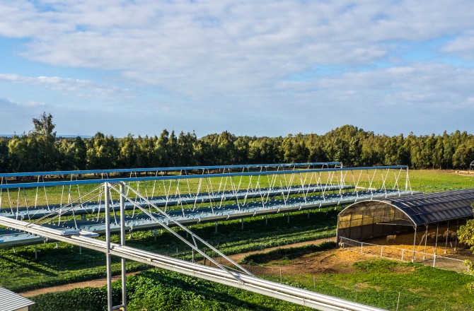 Nuova Sarda Industria Casearia