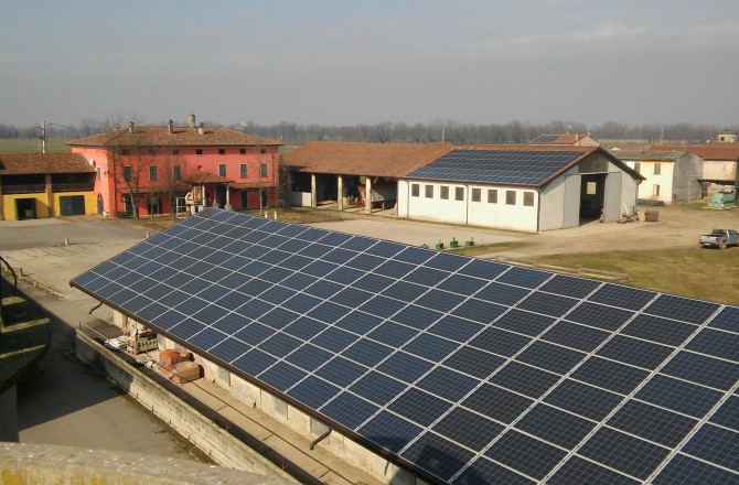 Azienda Agricola Salera