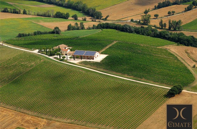 Cantina Le Cimate